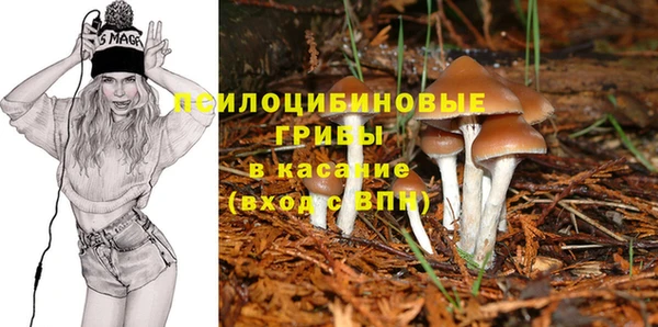 индика Армянск