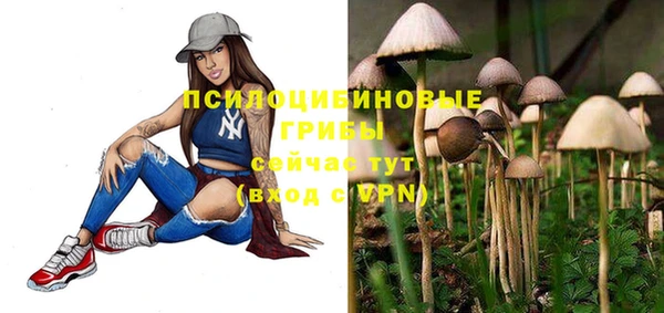 мяу мяу мука Алексеевка