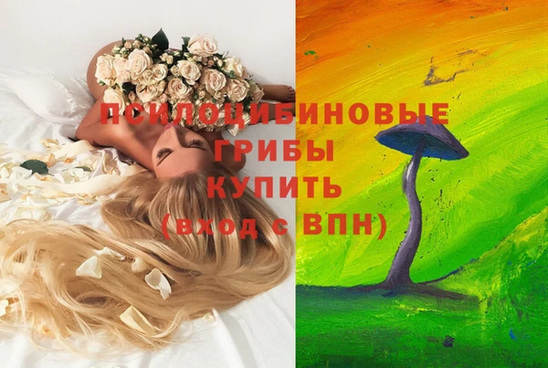 гидропоника Алексин