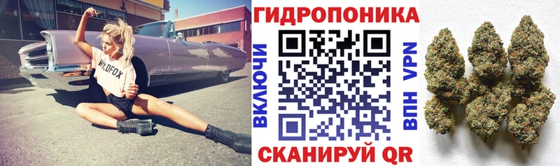 Канабис планчик  наркошоп  Сибай 
